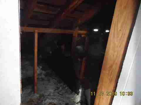 14572 Lauder (45)_m.jpg